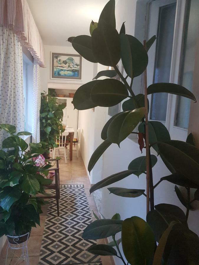 Marco'S House Villa Dolianova Luaran gambar